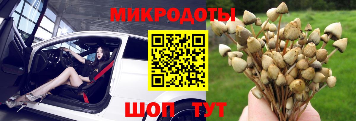 Галлюциногенные грибы GOLDEN TEACHER Шахты