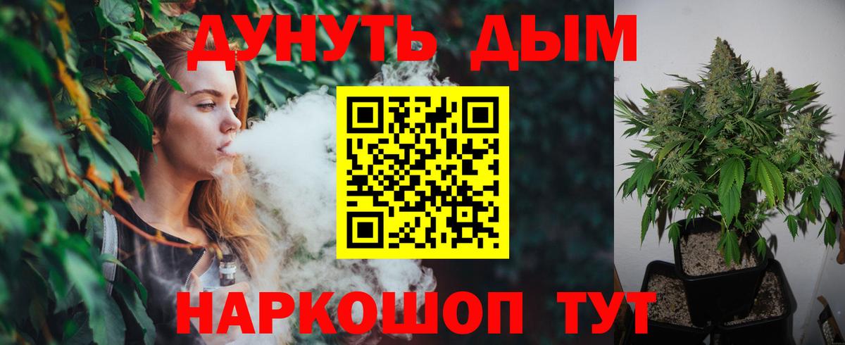 Конопля план Шахты